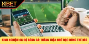 Kinh Nghiệm Cá Độ Bóng Đá: Thắng Trận Nhờ Đọc Đúng Thế Kèo